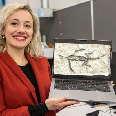 Fóssil de réptil dos Alpes revela-se uma fraude histórica