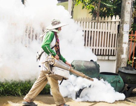 A luta do Brasil contra a maior epidemia de Dengue da história