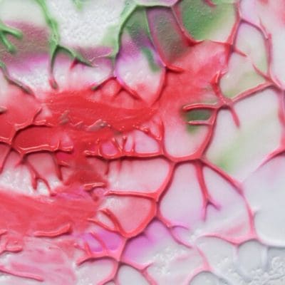 Apoptose: o suicídio celular que salva vidas