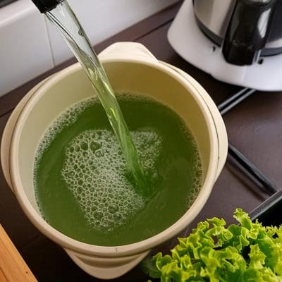 Cólera volta a assombrar o Brasil após 18 anos: saiba como se proteger