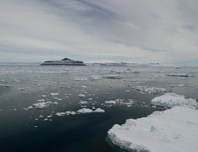 Crise climática: gelo marinho do Ártico registra nova queda significativa