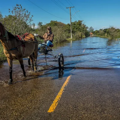 Curso Online Gratuito sobre Leptospirose: Transmissão, Diagnóstico, Tratamento e Prevenção
