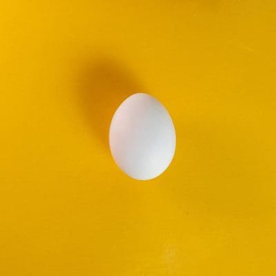 A incrível história do LUCA: O ser microscópico que pode ter gerado toda a vida na Terra