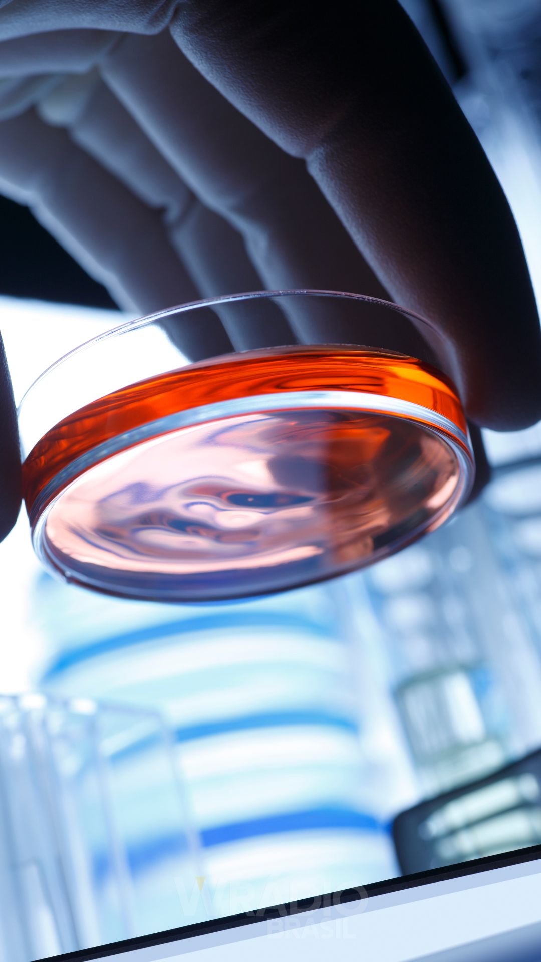 6 Descobertas científicas recentes que podem mudar tudo o que sabemos sobre o mundo