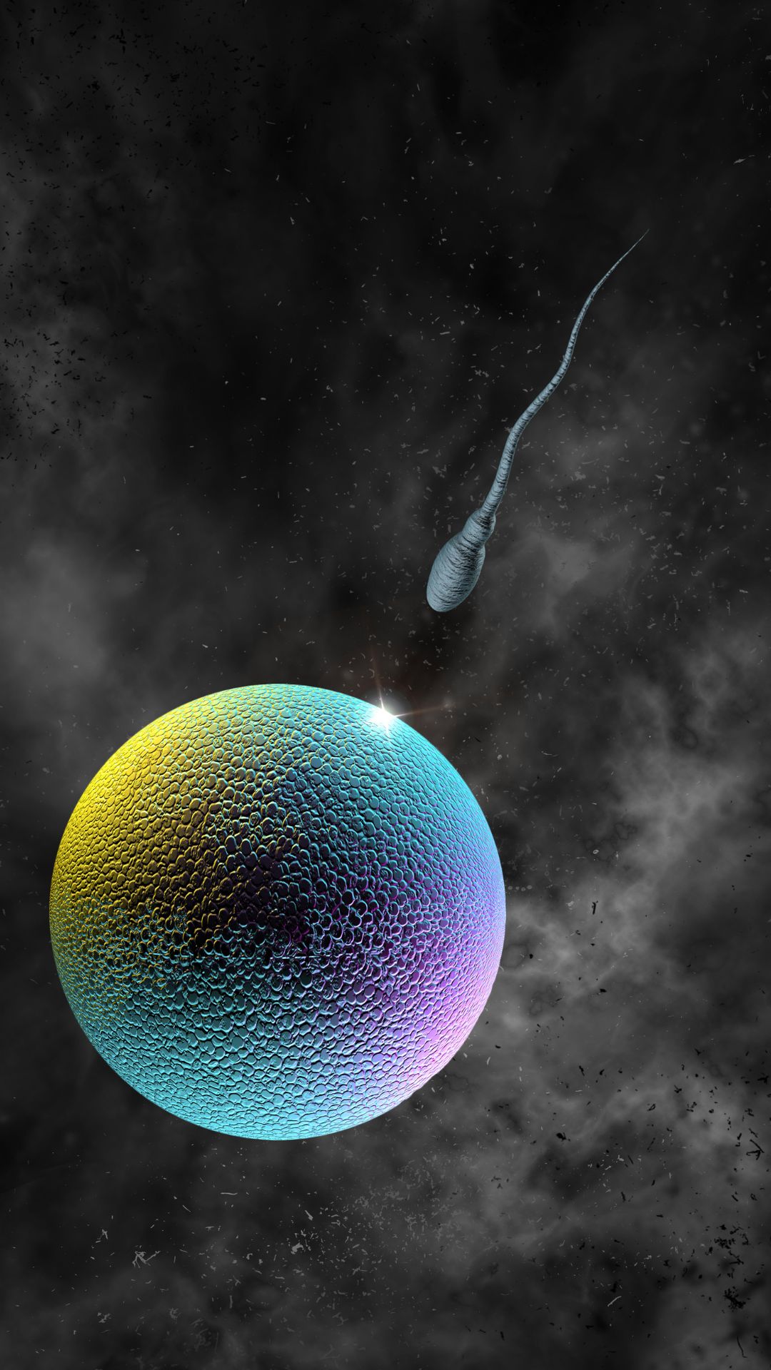 Como o espermatozoide sobrevive ao ácido, imunidade e 96 milhões de rivais