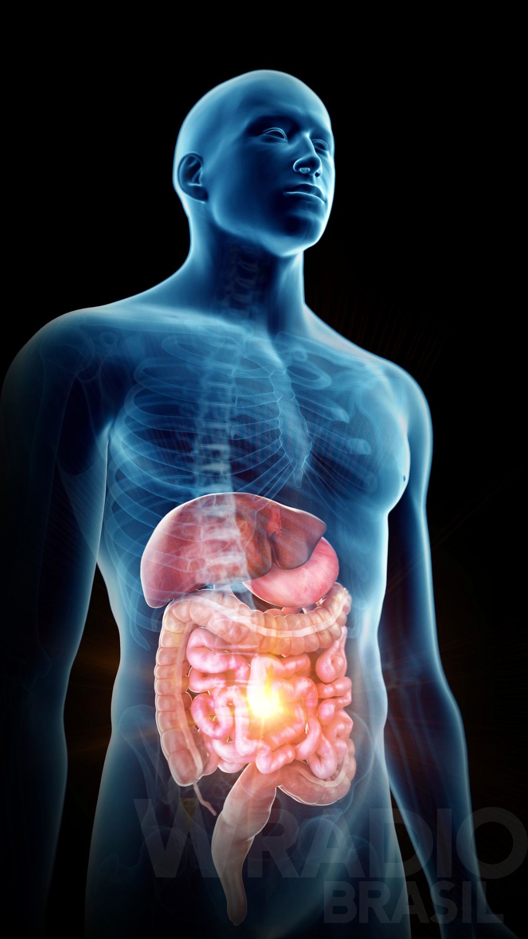 O segredo da inteligência humana pode estar em nosso intestino